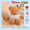 Gấu Bông Teddy