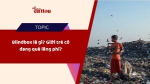 Blindbox là gì? Giới trẻ có đang quá lãng phí?